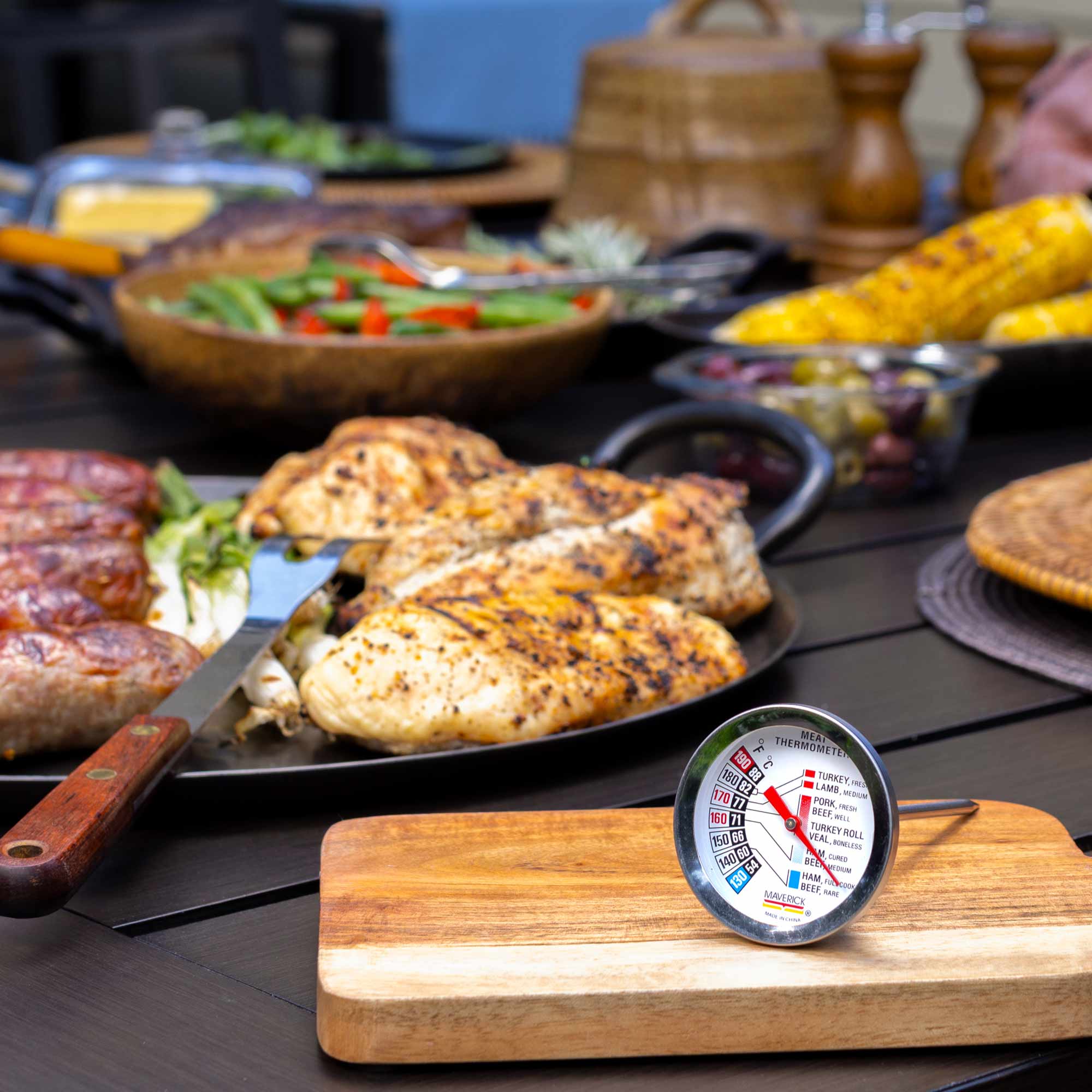 Gourmet Roasting Thermometer - Image 3